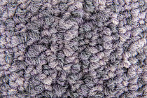 Desso Grezzo Vivid ad 05 3913 B8 фото 5 | FLOORDEALER